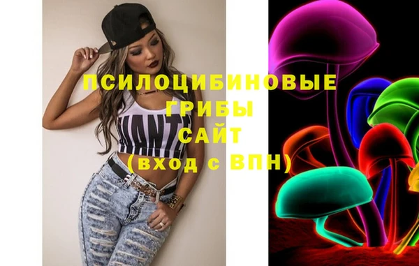 PSILOCYBIN Нея