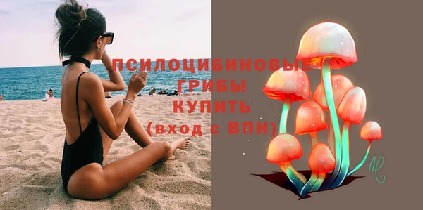 PSILOCYBIN Нея