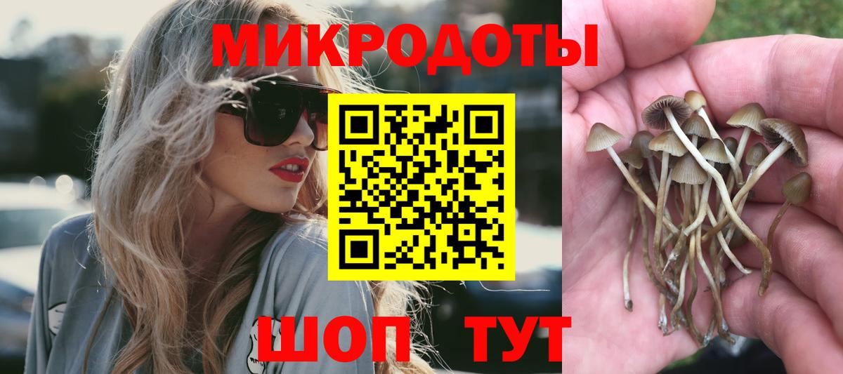 Псилоцибиновые грибы Psilocybine cubensis Фролово