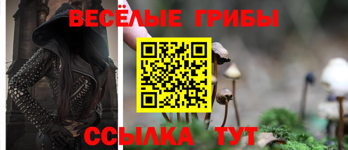 Псилоцибиновые грибы Psilocybine cubensis  Фролово 