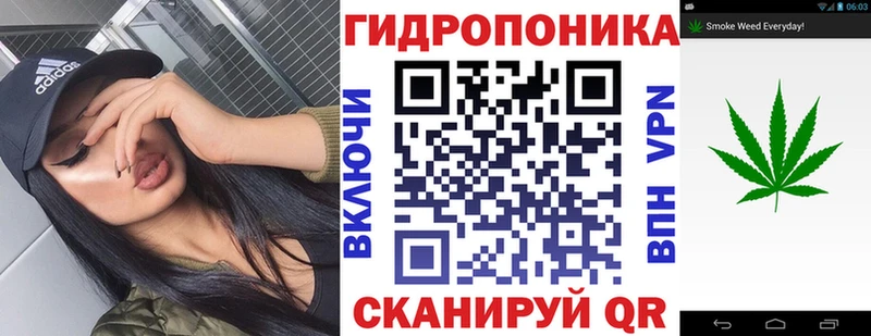 Канабис ГИДРОПОН Фролово