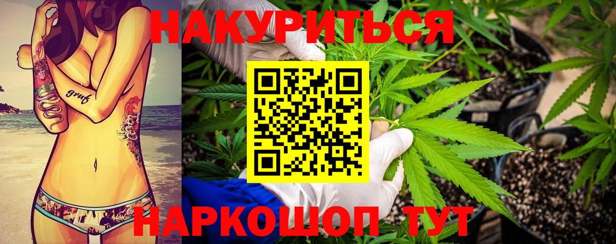 Бошки марихуана марихуана  Каннабис SATIVA & INDICA  Фролово  Марихуана планчик  Конопля THC 21% 